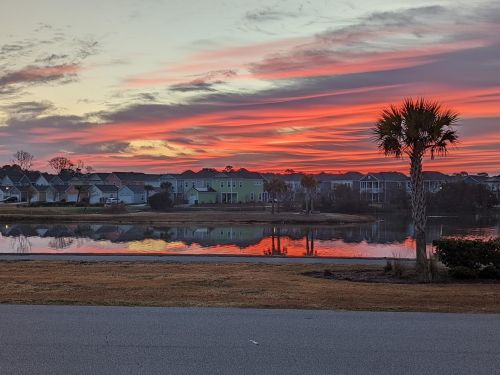 2945 Waterleaf Rd, Johns Island SC  29455-3176 exterior