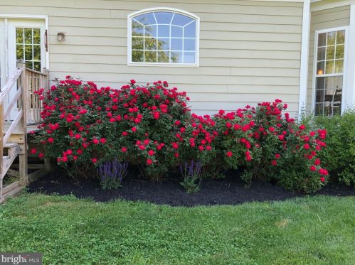 38443 Morrisonville Rd, Lovettsville VA  20180-3103 exterior