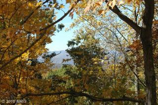 483 Red Oak Mountain Rd, Woodville, VA 22749-1803