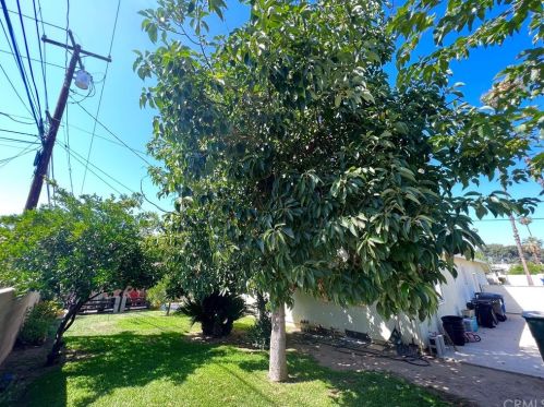 3956 Via San Jose, Riverside CA  92504-3050 exterior