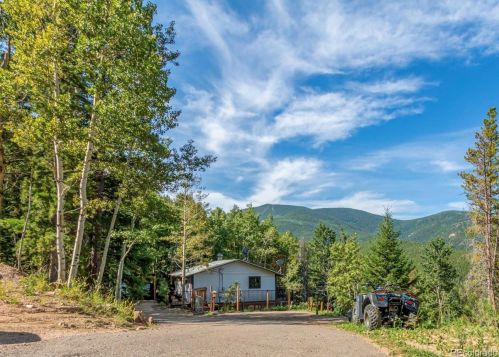 8393 Martin Ln, Conifer, CO 80433-9711