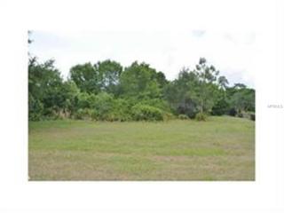 19003 Deer Point Pl, Odessa, FL 33556-2275
