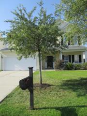 9603 Tothill Dr, Summerville, SC 29485-8980