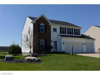 3200 Seven Bridges Rd, Medina, OH 44256-6230