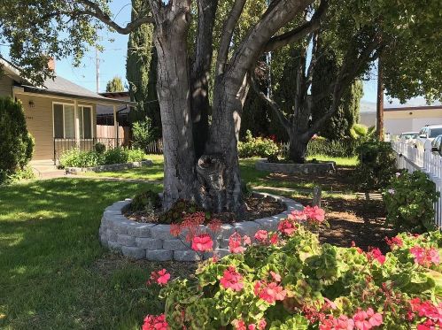 2983 Edison Dr, San Jose, CA 95133-2412