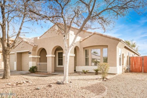 8601 Preston Ln, Tolleson, AZ 85353-8748