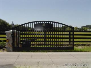 15514 78th Ave, Alachua, FL 32615-7603