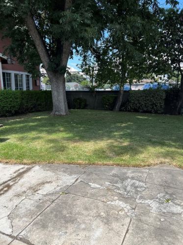 1237 F St, San Bernardino CA  92405-4765 exterior