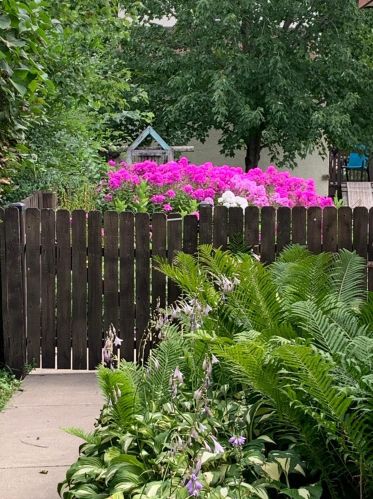 127 14th Ave, Saint Cloud MN  56301-4149 exterior