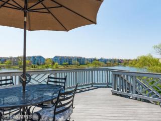 44147 Paget Ter, Ashburn, VA 20147-3849