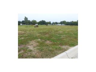 309 Coneflower Ct, Monroe, IA 50170-2300