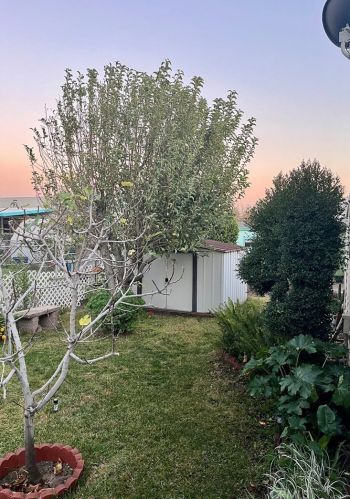 2598 Ayala Dr, Rialto CA  92377-8803 exterior