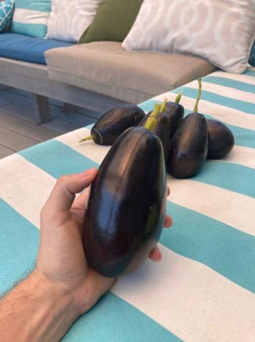 2214 33 St, Galveston TX 77550-7508 exterior