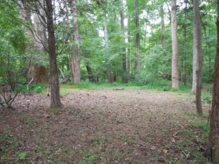 9924 Sycamore Landing Rd, Williamsburg VA  23188-1252 exterior