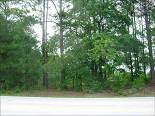 201 Soft Stone Dr, Blythewood, SC 29016-8176