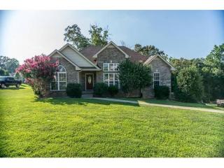 421 Pueblo Trce, Clarksville, TN 37040-7745