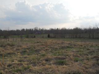 1525 Cuba Rd, Mayfield, KY 42066-6809