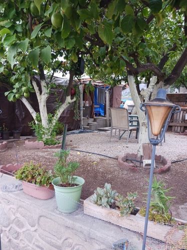 100 Chestnut St, Lake Elsinore CA  92530-4130 exterior