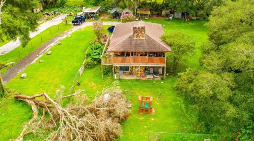 14010 Wp Ln, Thonotosassa FL  33592-4204 exterior