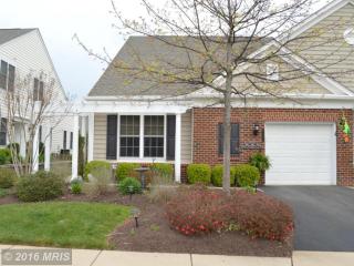 44402 Maltese Falcon Sq, Ashburn, VA 20147-3865