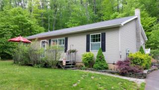 189 Saw Mill Rd, Greentown, PA 18426-4447