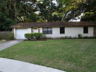 303 Hutch Ct, Brandon, FL 33510-3752