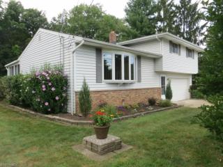 11114 Heritage Dr, Twinsburg, OH 44087-1111