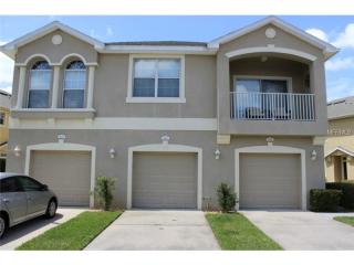 9090 Moonlit Meadows Loop, Riverview, FL 33578-8851