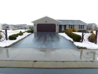 100 Edgemont Ln, Stricklerstown, PA 17073-9057