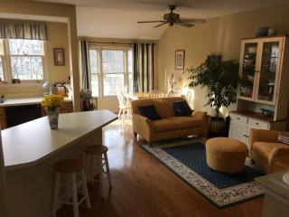 20342 Burnley Sq, Dulles VA  20165-6458 exterior