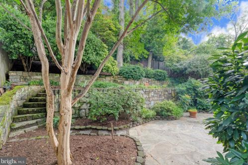 3073 Cleveland Ave, Washington DC 20008-3450 exterior