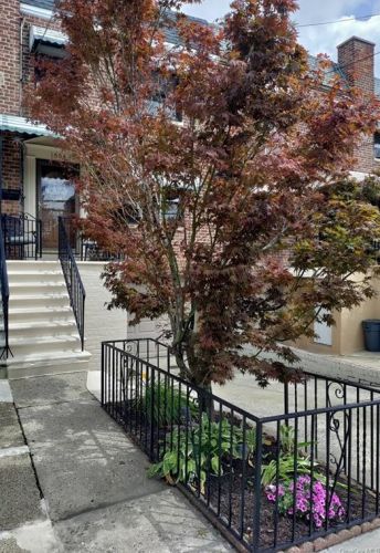 1664 Haight Ave, Bronx, NY 10461-1504