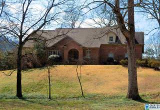 231 Lucerne Blvd, Birmingham, AL 35209-6613