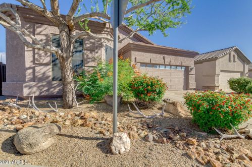 6529 Andrea Dr, Phoenix, AZ 85083-6518