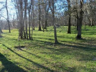 740 Center Dr, Cleveland, TX 77327