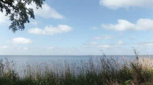 990 Lake Shore Dr, Deltona, FL 32725-8937