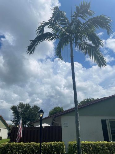 3791 Silver Lace Ln, Boynton Beach, FL 33436-3937