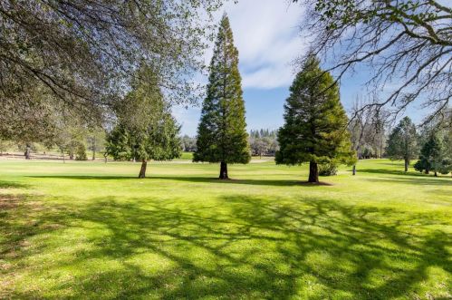 11619 Redwing Ct, Lake Wildwood, CA 95946-9662