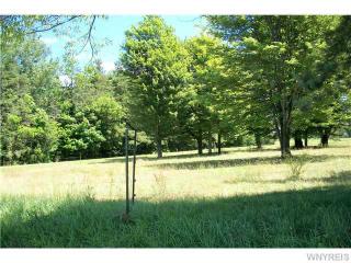 4383 Boston Rd, Eden, NY 14057-9747