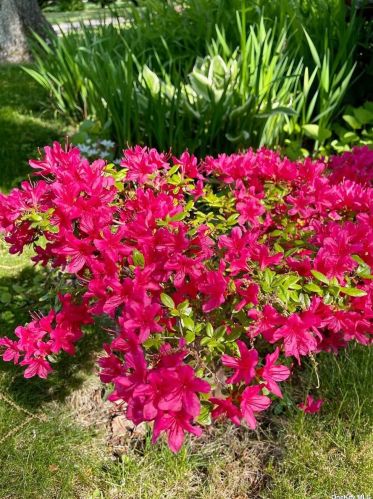 305 Bayberry Rd, Southold NY  11971-4436 exterior