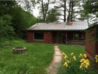 46 Log Cabin Ln, Johnson, VT 05656-9335