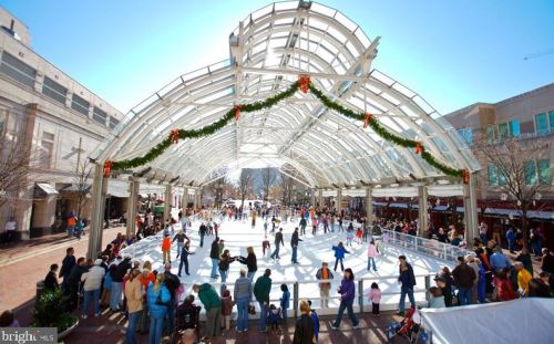 11164 Beaver Trail Ct, Herndon VA  20191-4319 exterior