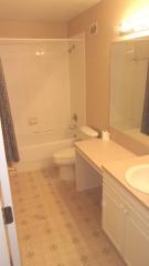 531 Coconut Palm Way, Davenport FL  33897-1663 exterior