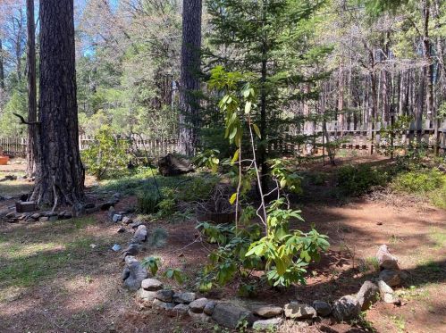 6592 Imperial Way, Nimshew CA  95954-9367 exterior