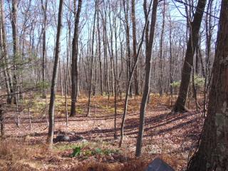 8235 Blue Mountain House Rd, Steinsville, PA 19529