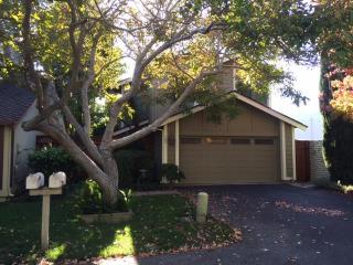 103 El Patio Ct, Campbell, CA 95008-2130