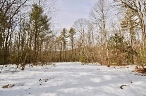 290 Hardwick Rd, Petersham MA 01366-9701 exterior