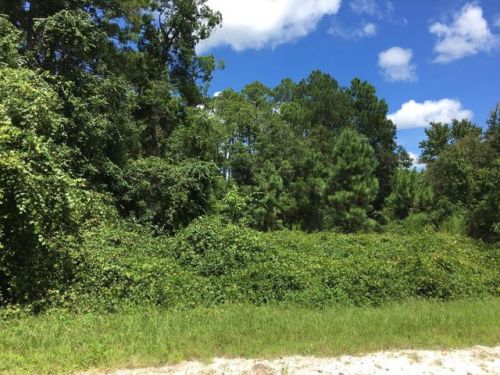 102 Plumosa Dr, Georgetown, FL 32139-2116