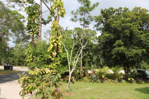 18852 50 St, Town Of Loxahatchee Groves FL  33470-2346 exterior