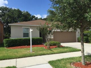 1325 Canyon Oaks Dr, Brandon, FL 33510-2175